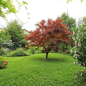 Appartamento Nigler Austria